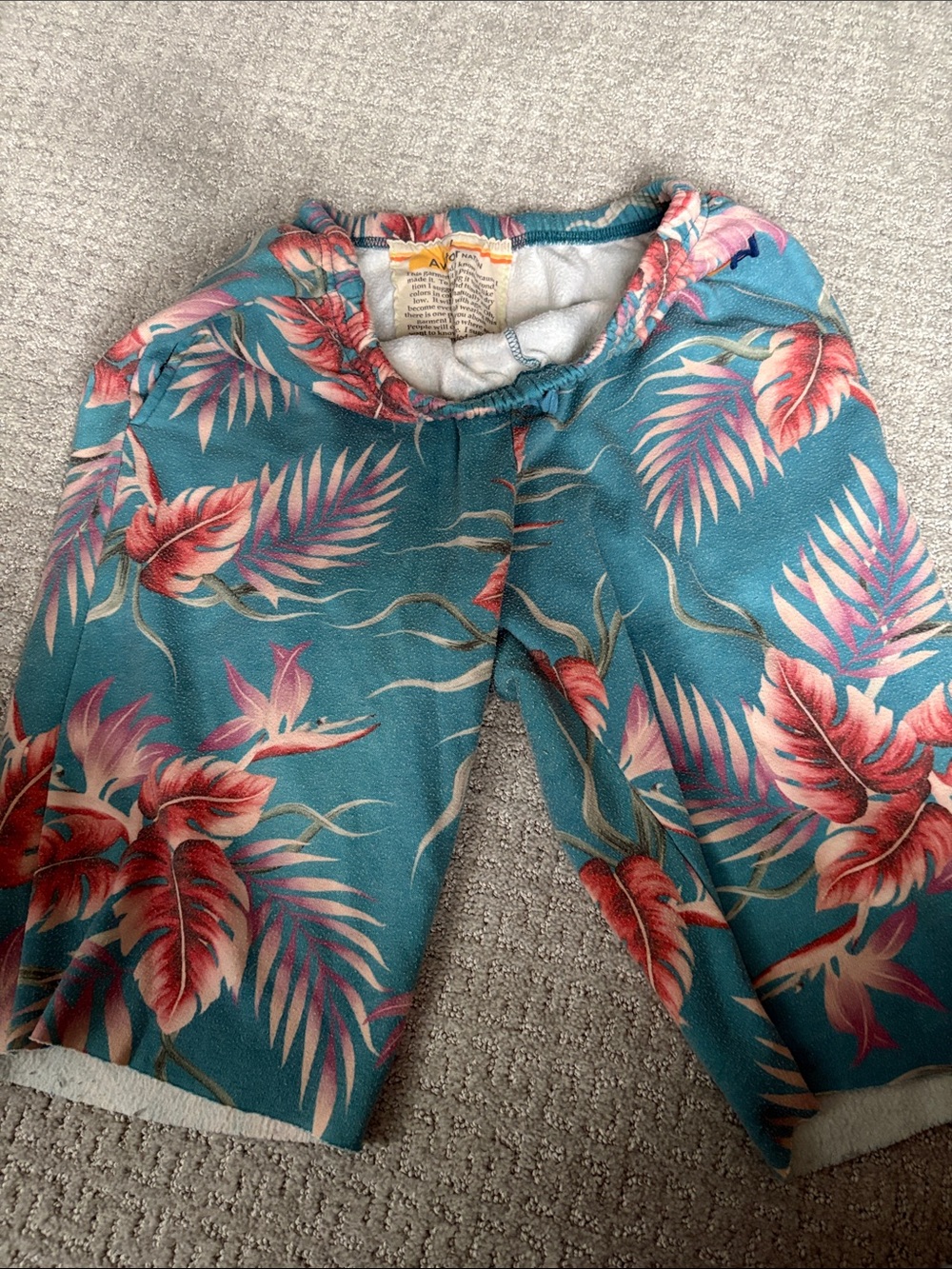 Aviator Nation Teal Sweatshort